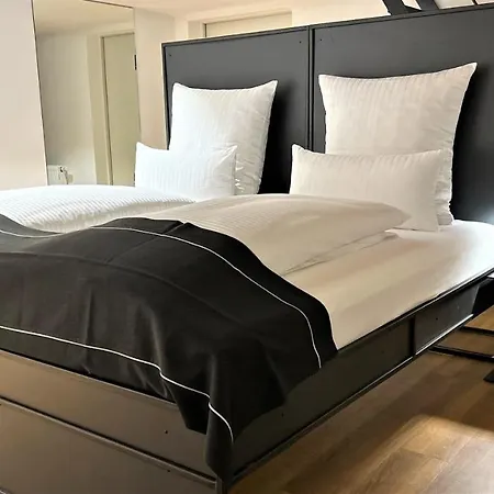 公寓 Historical Luxury Homes - Luxus Familien