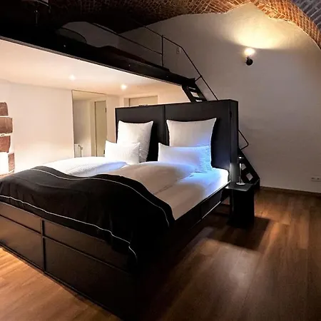 公寓 Historical Luxury Homes - Luxus Familien 弗赖堡